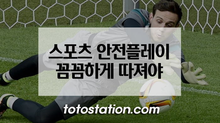 토토사이트 먹튀 검증